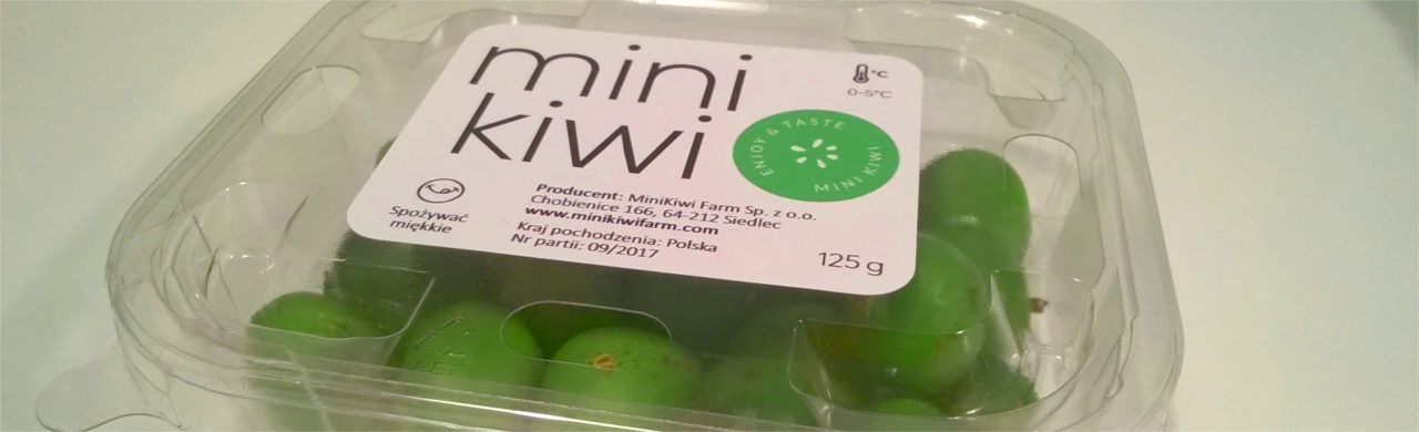 dzem_mini_kiwi_05